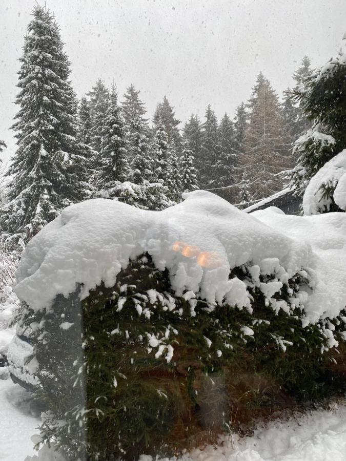 Schoenwald Waldchalet Am Musenberg Stryck Εξωτερικό φωτογραφία