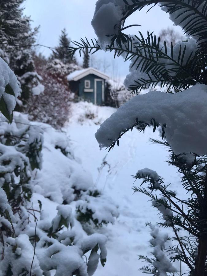 Schoenwald Waldchalet Am Musenberg Stryck Εξωτερικό φωτογραφία