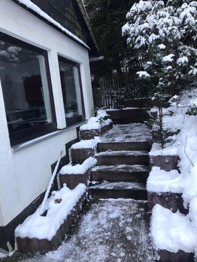 Schoenwald Waldchalet Am Musenberg Stryck Εξωτερικό φωτογραφία